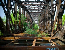 Plants Growing On Old Metallic Bridge
