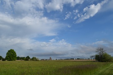 Sticker - Field Under a Partly Cloudy Blue Sky