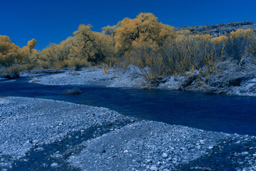 Wall Mural - Infrared photo of the Mimbres river, S.W. New Mexico.