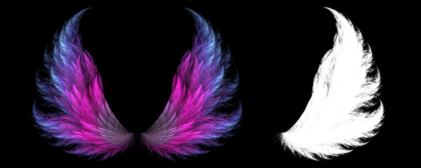 Magical animal wings with white clipping mask