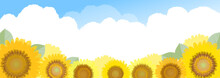 Sonnenblume Kostenloses Stock Bild - Public Domain Pictures