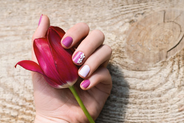 Female hand with purple nail design holding beautiful pink tulip.