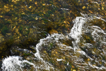 Canvas Print - eau riviere ecologie environnement 