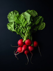 Bunch of red radish on black background, from above