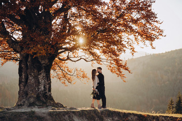 Wall Mural - Stylish young couple in the autumn mountains. A guy and a girl stand together under a big old tree against the background of a forest and mountain peaks at sunset. The girl has a bouquet in her hands