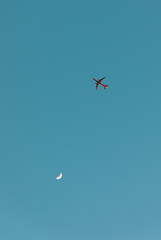 Plane and crescent moon close together on the turquoise sky