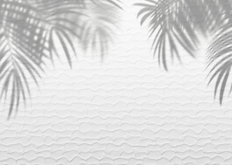 Wall Mural - White gray grunge cement texture wall leaf plant shadow background.Summer tropical travel beach with minimal concept. Flat lay  palm nature .