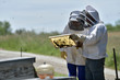 Beekeepers working with secured outfit