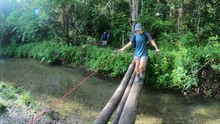 A Young, Blonde Man With A Cap And Backpack Is Balancing On Three Logs Built As A Bridge To Cross The Small River Beneath. Kokoda Trail In Papua New Guinea.