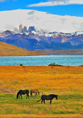 Canvas Print -  Lake in the mountains