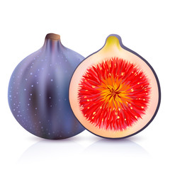 Wall Mural - Vector whole and half figs. Realistic fruit isolated on a white background.