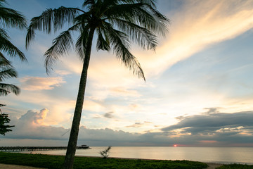 Silhouette coconut tree at the beach with twilight time background. relax at the beach.