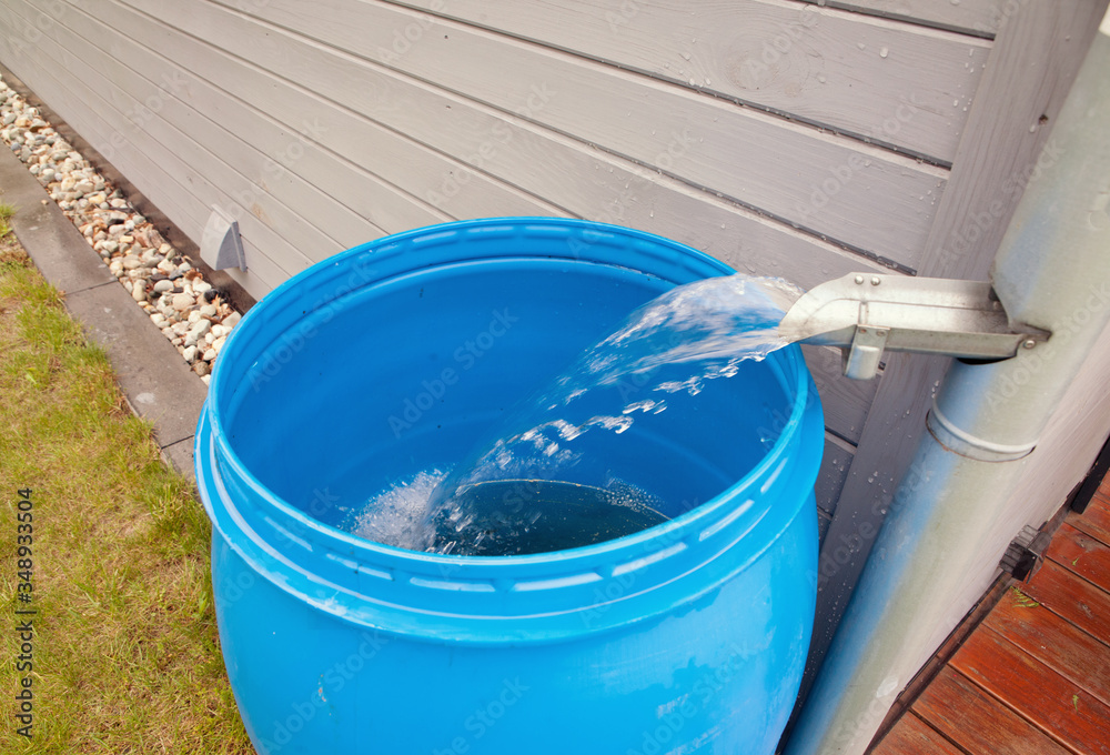 Rain water rainwater harvesting collecting in the garden into a plastic ...