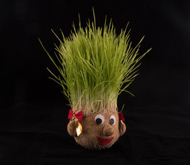 Germinated wheat, a tradition of Saint Andrew’s Day. Handmade doll stuffed with wood shavings