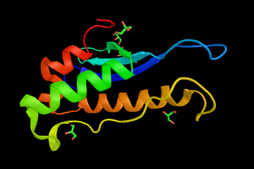 Canvas Print - Phosphatidylinositol-4-phosphate 3-kinase C2 domain-containing alpha polypeptide, a protein shown to be able to be activated by insulin and which may be involved in integrin-dependent signaling