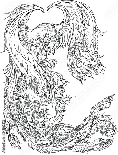 Phoenix Fire Bird Illustration And Character Design Hand Drawn Phoenix Tattoo Japanese And Chinese Style Legend Of The Firebird Is Russian Fairy Tales And It Is Creature From Slavic Folklore Vecteur Stock Adobe Phoenix Fire Bird Illustration And Character Design Hand Drawn Phoenix Tattoo Japanese And Chinese Style Legend Of The Firebird Is Russian Fairy Tales And It Is Creature From Slavic Folklore Vecteur Stock Adobe