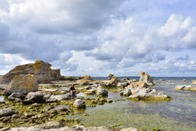 Die Kalksteinfelsen Von Gamle Hamn Auf Gotland	