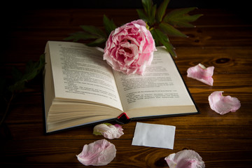 Wall Mural - peony pink beautiful flower, book, empty card