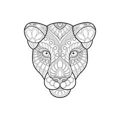 Wall Mural - Abstract linear head of a panther decorated with ornament elements. Logo of the panther. Sketch for the coloring pages book. Vector illustration