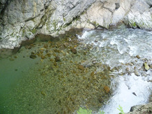 High Angle View Of Stream And Rock