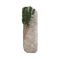 Wall Mural - Realistic stone letters with ivy, isolated on a white background. 3d image