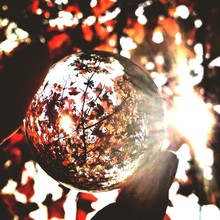 Cropped Image Of Person Holding Crystal Ball Against Autumn Tree