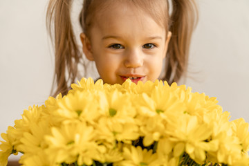 childhood, holidays, flowers, gifts concept - little cute three year old girl with two ponytails on her head in blue colorful dress holds large bouquet of bright yellow daisies on a white background.