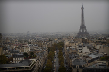 eiffel tower in paris