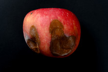 Top View Rotten Apple On A White Background