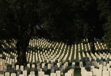 American Military Cemetery, Arlington Vergina