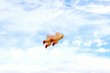 Low Angle View Of Inflatable Pig Toy Flying Against Sky