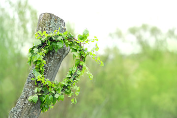 Wreath from green birch tree branches on spring summer rustic landscape. Young birch leaves in wreath. pagan, wiccan traditions, ancient symbols and rituals.