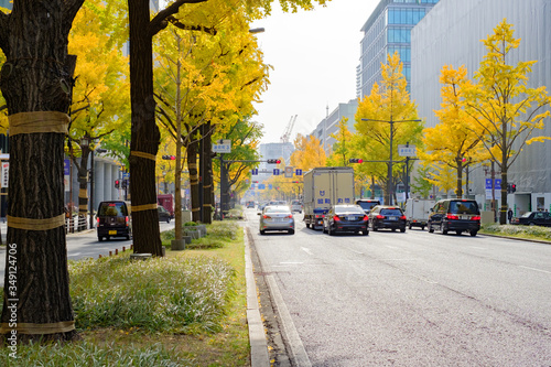 Fotografía Midosuji Boulevard and Ginkgo Trees in Osaka, Japan