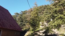 Close-up Of Wooden Chalet (cottage) And Cedrus Trees, Red Brick, And Clear Weather, In Chrea National Park / Algeria