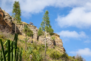  Mountains covered with plants and a blue sky with small clouds