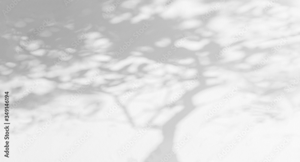 Tree shadow and light with leaves, tree trunk, branch, shadow bokeh on ...