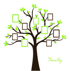 Vector illustration of family photo tree