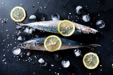 Wall Mural - mackerel fish, ice cubes, spices, salt ,   lemon , on a black background , top view