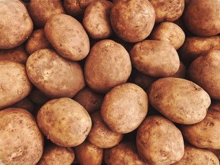 Close up view of rustic earthy potatoes, dirty from the soil. Filling the frame with fresh and organic vegetables. Staple foods background.