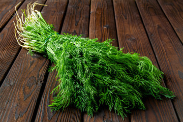 A Bunch of fresh dill on a dark wooden background