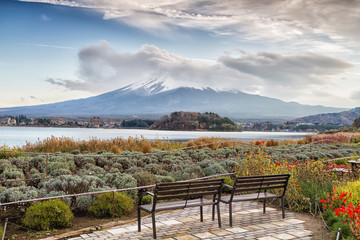 Autumn Season and Mountain Fuji with red leaves at lake Kawaguchiko, Japan. Five Lakes area. View with a bench and lavender field