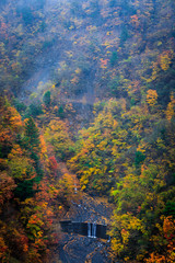 Wall Mural - background abstract nature landscape autumn and small waterfall on mountain in Japan