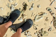 View From Above To Pair Of Protective Lightweight Low-profile Neoprene Water Shoes Black Color Close Up For Kayaking And Other Wet Sports On Wild Sandy Beach With Quantity Of Seashells After Storm.