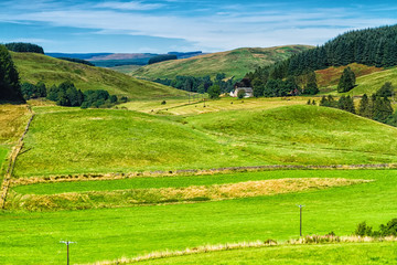 Rolling green farm fields under a calm blue sky. Colorful panorama over the meadows of sheep farmland of Scotish valley in Scotland, United Kingdom