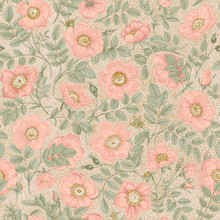 Vintage Floral Illustration. Seamless Pattern. Wild Pink Roses.