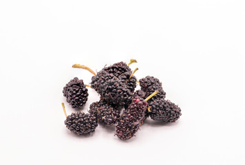 Wall Mural - Close up fresh mulberry isolate on white background.Organic black mulberry fruit.