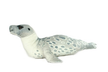 Seal Lion Grey Toy Plush Fluffy Child White Background Realistic