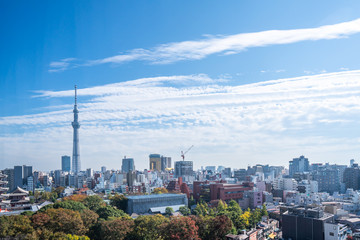 Wall Mural - Tokyo skytree, Japan - November 14 2019, Scene with Tourists at Nakamise shopping street in Sensoji Temple, popular places in Tokyo.