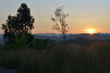 Fototapeta Sawanna - sunset in Thailand