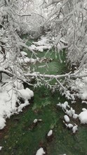High Angle View Of Snow Covered Branches Over Stream